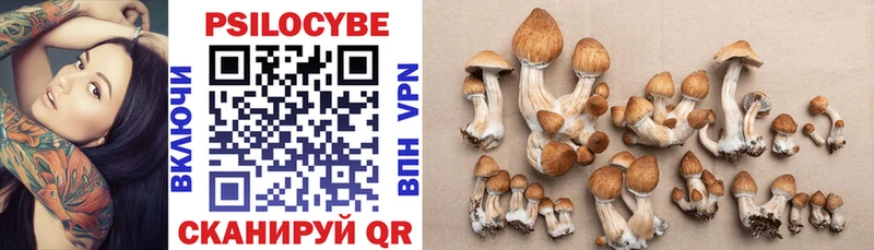 Галлюциногенные грибы Psilocybine cubensis  blacksprut рабочий сайт  Бирск  как найти закладки 